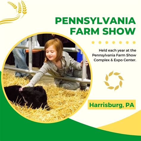 Pennsylvania farm show harrisburg pa - The Pennsylvania Farm Show is just such a celebration of animals, equipment, entertainment, and trade from the agricultural world. The event, which occurs each January in Harrisburg, has been described as the "annual meeting place of farmer and city-dweller," and a place where "sod-busters and city slickers come along by the thousands."